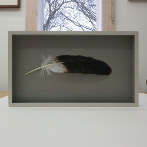 Frame for Feather